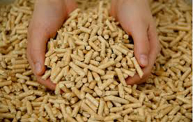 animal feed pellet