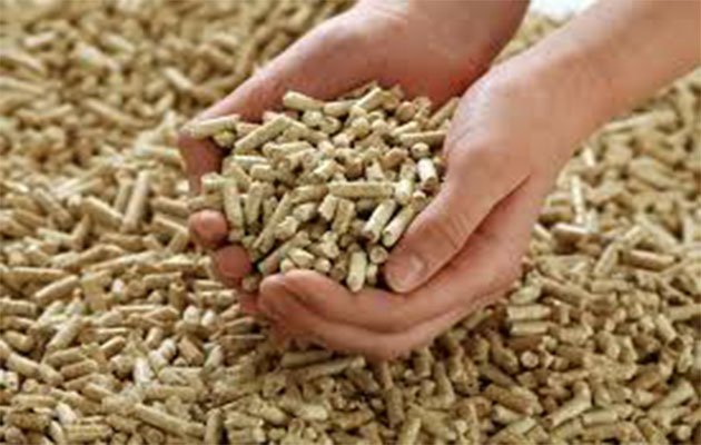 feed pellet