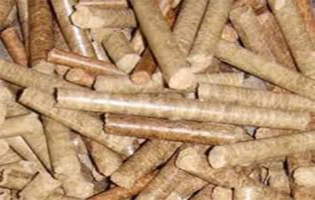 feed pellet