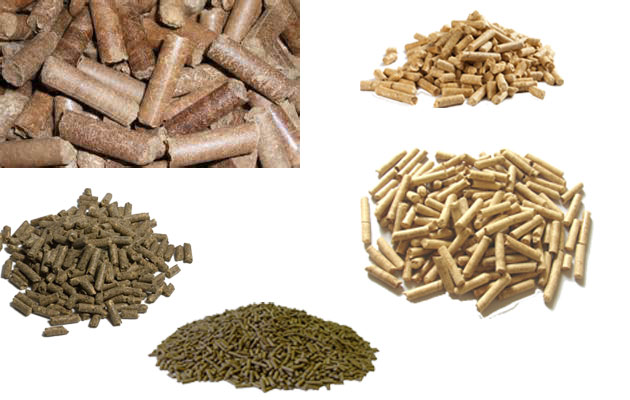 wood pellet