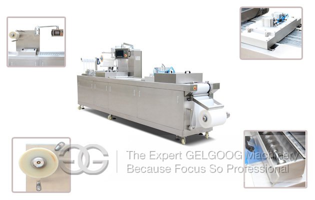 Vacuum Packing Machine